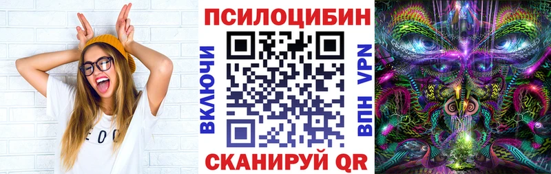 Галлюциногенные грибы мицелий  что такое   Котлас 